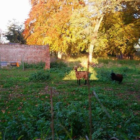 فندق Le Jardin Des Ecureuils Demuin المظهر الخارجي الصورة