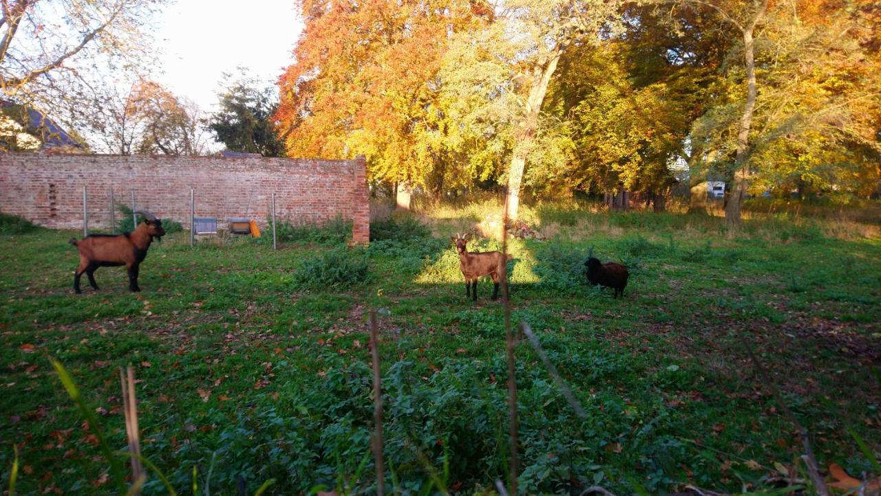 فندق Le Jardin Des Ecureuils Demuin المظهر الخارجي الصورة